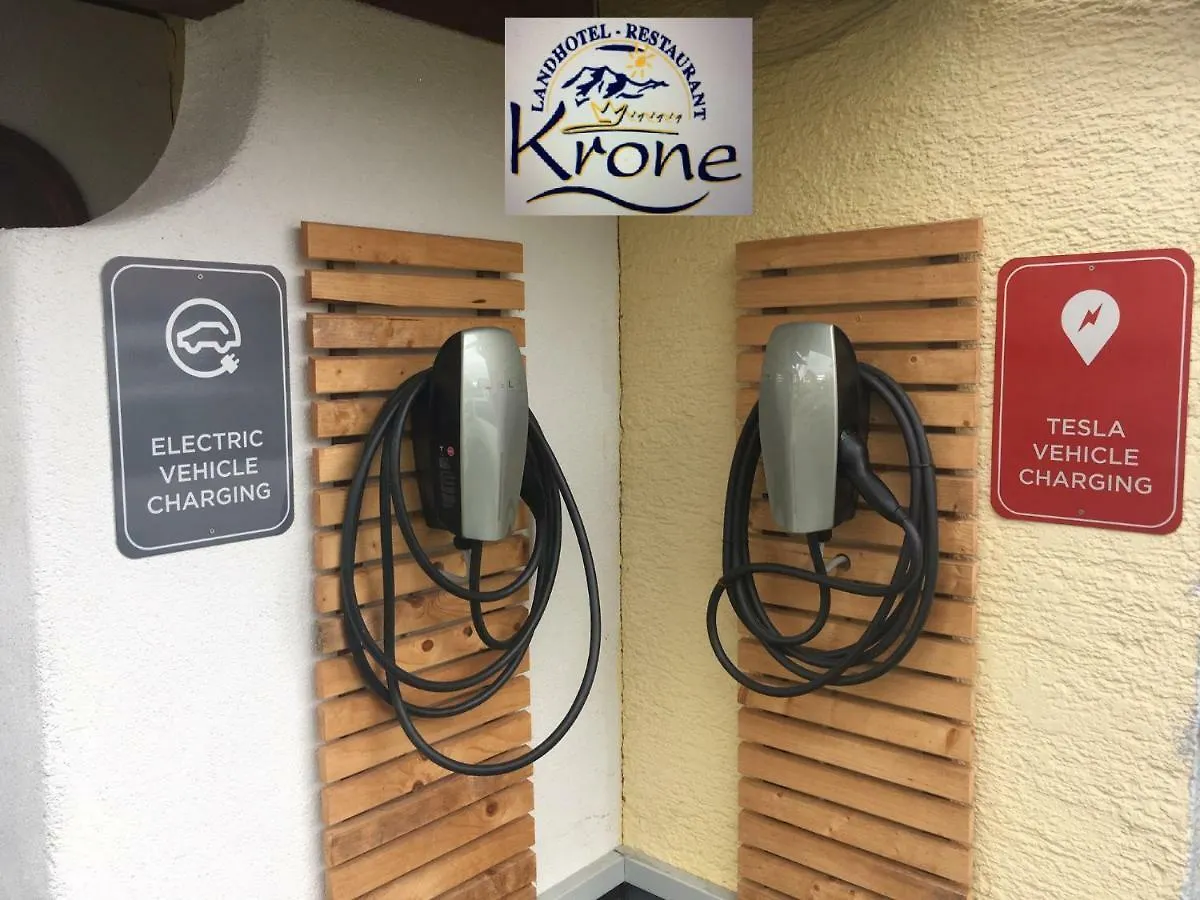 Landhotel Krone オーバーロイテ 3*,  ドイツ